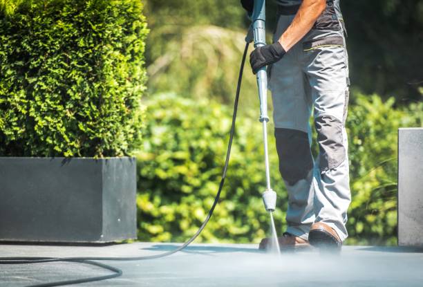 Best House Exterior Washing  in Twain Harte, CA